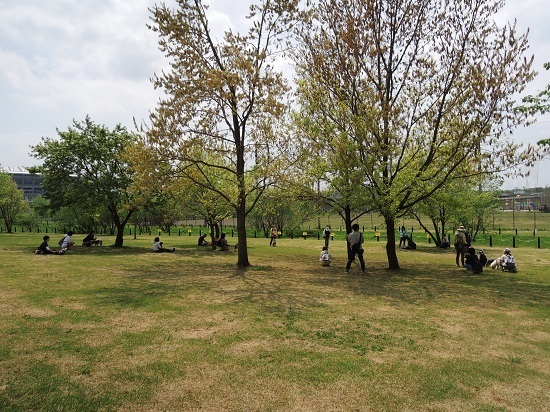 190422_01.jpg