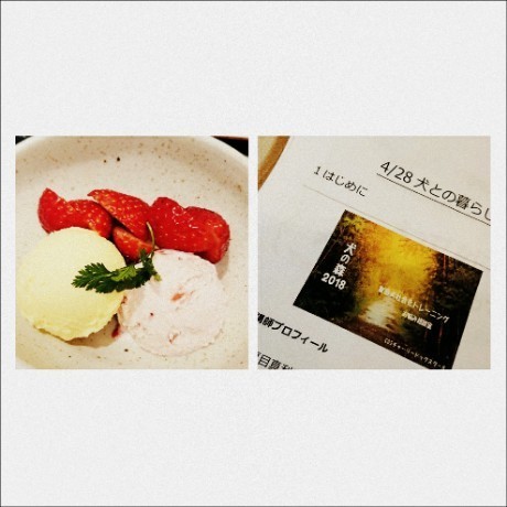 190428_01.jpg