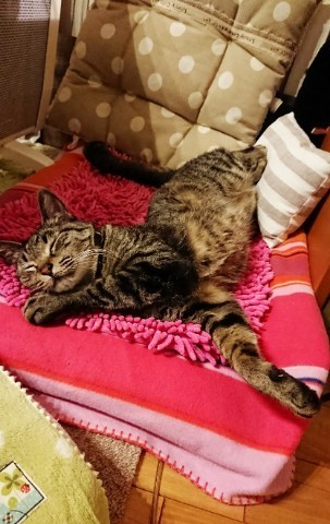 190501_01.jpg