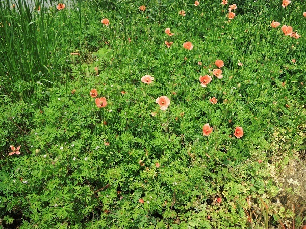190503_02.jpg