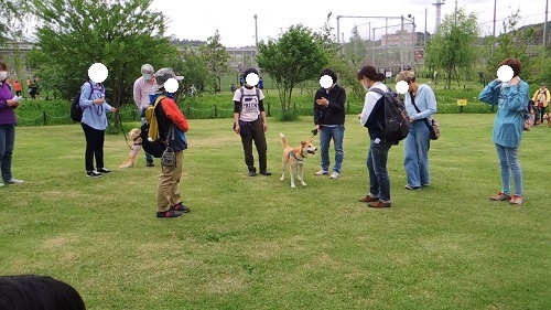 190506_01.jpg