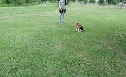 190506_02.jpg