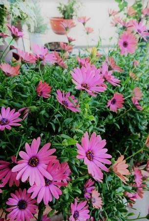 190511_01.jpg