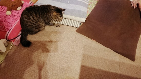 190513_01.jpg