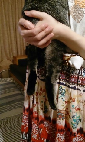 190519_01.jpg