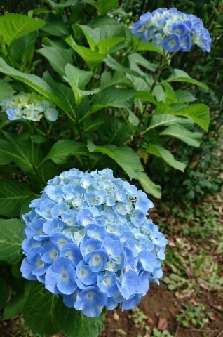 190602_02.jpg
