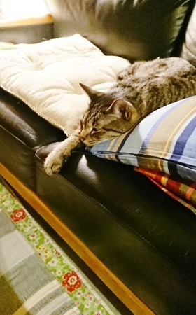 190605_01.jpg