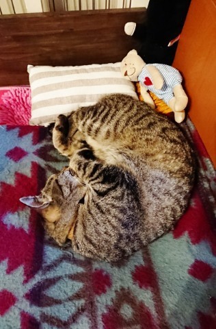 190609_01.jpg