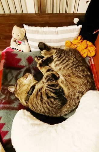 190611_01.jpg