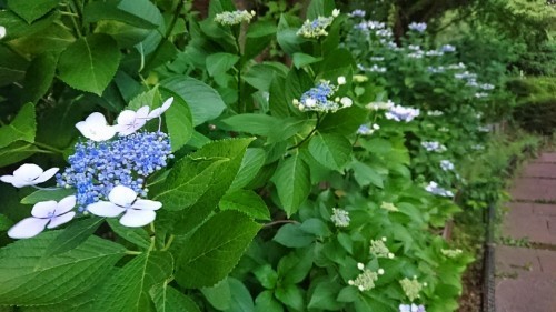 190613_01.jpg
