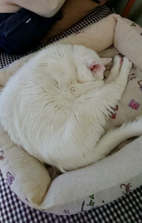 190615_01.jpg