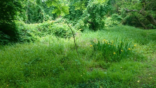 190617_02.jpg