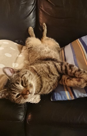 190619_01.jpg