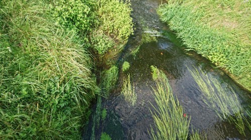 191002_01.jpg