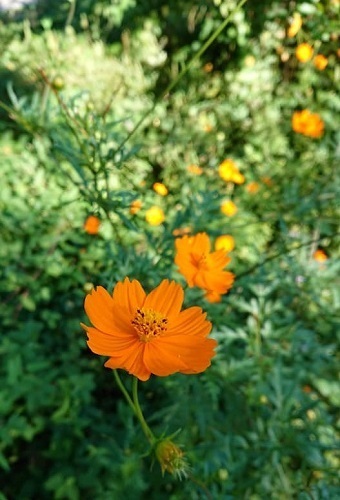 191007_01.jpg