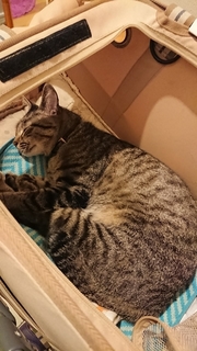 20180529175125486.jpg