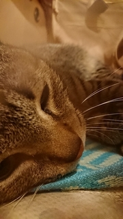 20180529175245848.jpg